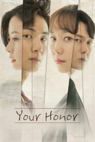 Your Honor Season 1